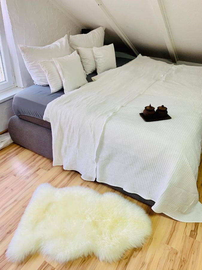 Studio Apartment In Direkter Naehe Zur Uniklinik Homburg Homburg  Eksteriør bilde