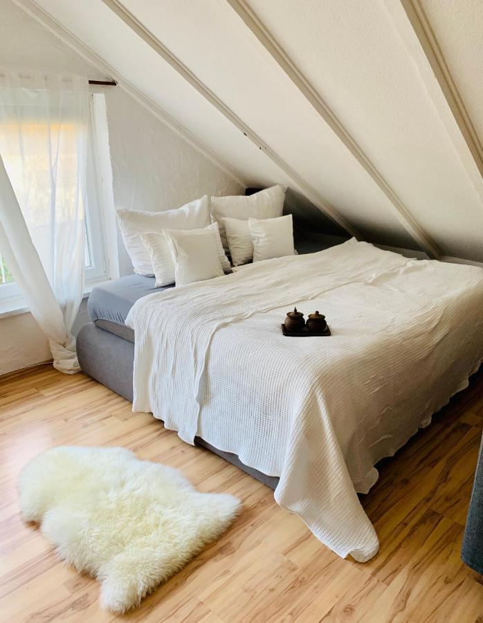 Studio Apartment In Direkter Naehe Zur Uniklinik Homburg Homburg  Eksteriør bilde