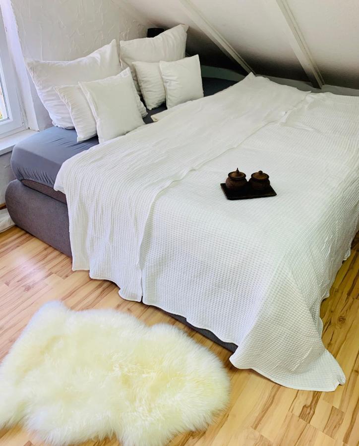 Studio Apartment In Direkter Naehe Zur Uniklinik Homburg Homburg  Eksteriør bilde